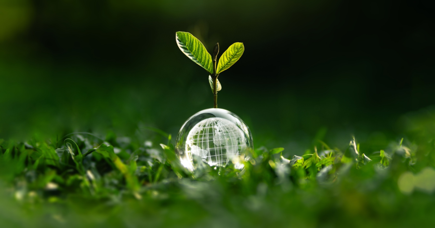 Sustainability still matters to restaurant customers, but not as much as before